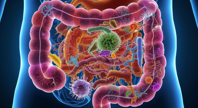 antibiotics, anxiety